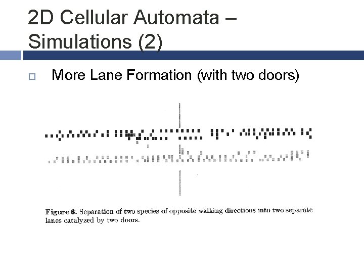 2 D Cellular Automata – Simulations (2) More Lane Formation (with two doors) 