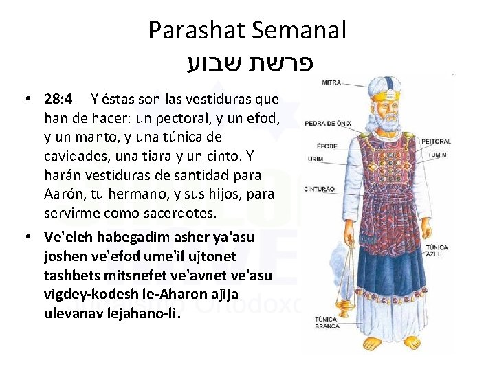 Parashat Semanal פרשת שבוע • 28: 4 Y éstas son las vestiduras que han Parashat Semanal פרשת שבוע • 28: 4 Y éstas son las vestiduras que han