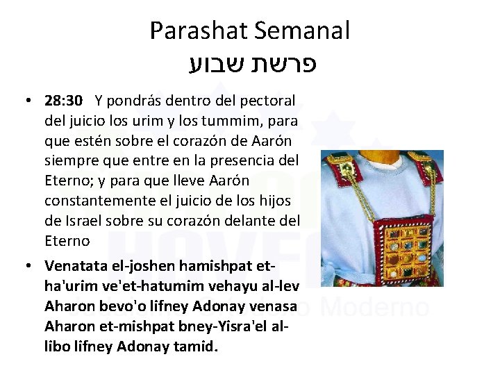 Parashat Semanal פרשת שבוע • 28: 30 Y pondrás dentro del pectoral del juicio Parashat Semanal פרשת שבוע • 28: 30 Y pondrás dentro del pectoral del juicio