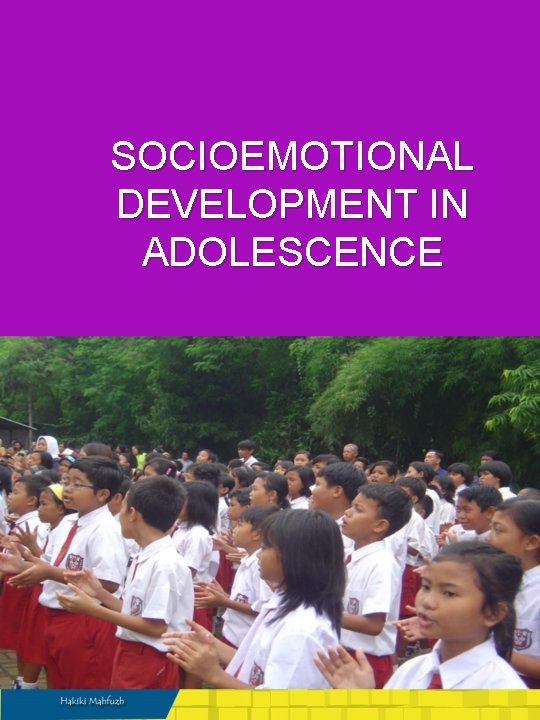 SOCIOEMOTIONAL DEVELOPMENT IN ADOLESCENCE 