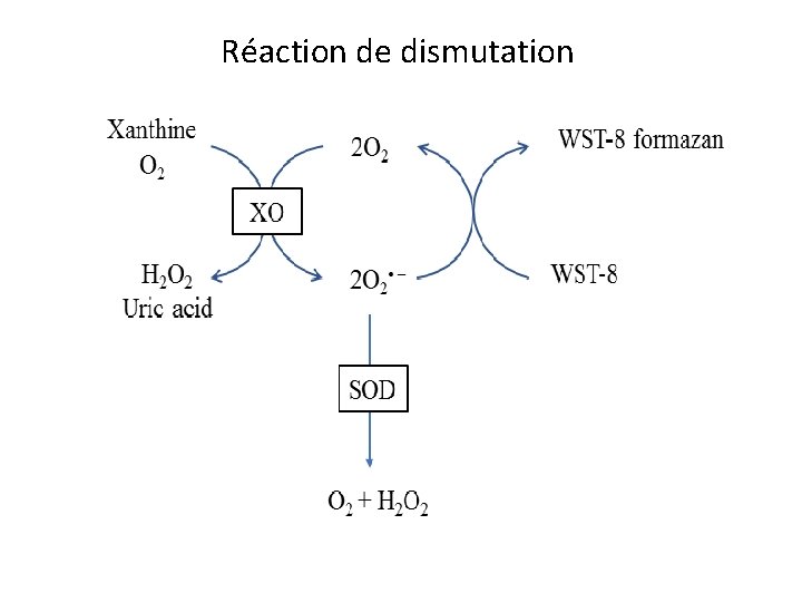Réaction de dismutation 