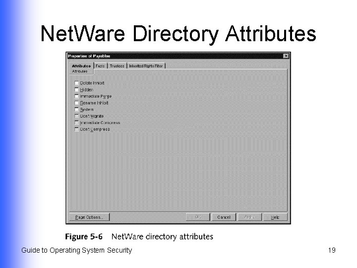 Net. Ware Directory Attributes Guide to Operating System Security 19 