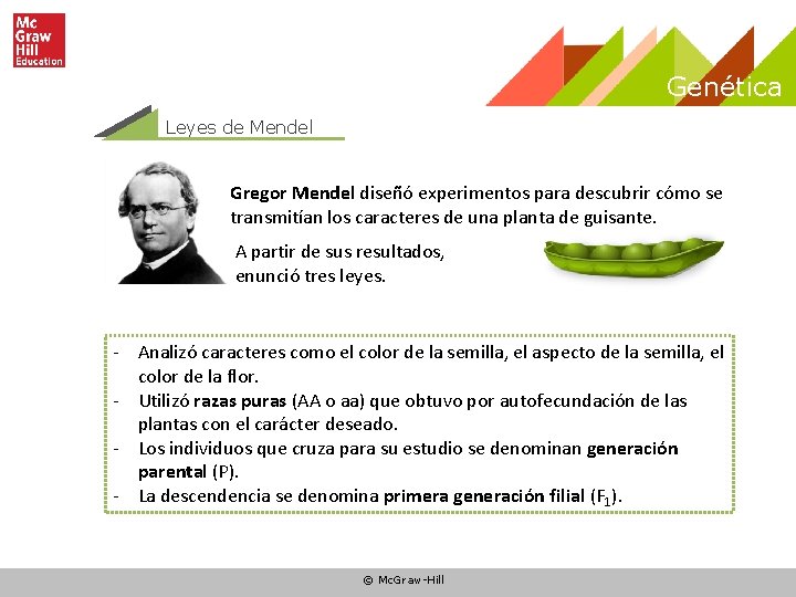 Genética Leyes de Mendel Gregor Mendel diseñó experimentos para descubrir cómo se transmitían los