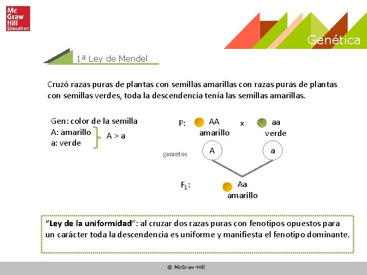 Genética 1ª Ley de Mendel Cruzó razas puras de plantas con semillas amarillas con