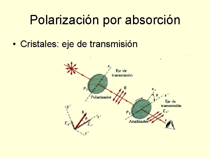 Polarización por absorción • Cristales: eje de transmisión 