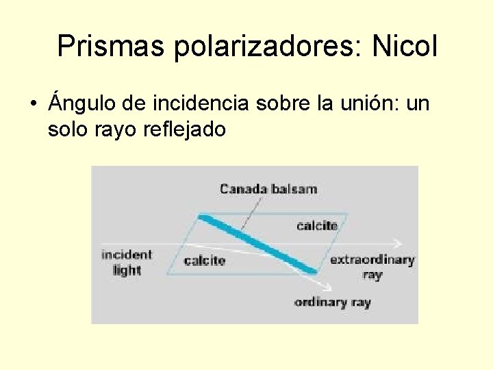 Prismas polarizadores: Nicol • Ángulo de incidencia sobre la unión: un solo rayo reflejado