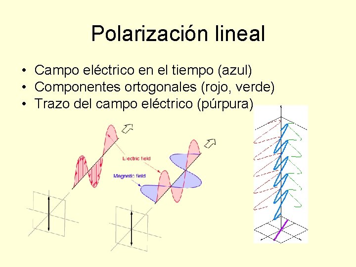 Polarización lineal • Campo eléctrico en el tiempo (azul) • Componentes ortogonales (rojo, verde)