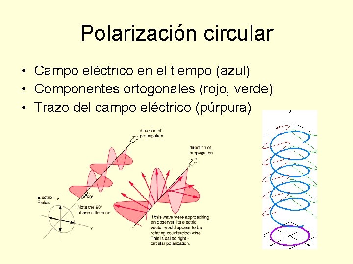 Polarización circular • Campo eléctrico en el tiempo (azul) • Componentes ortogonales (rojo, verde)