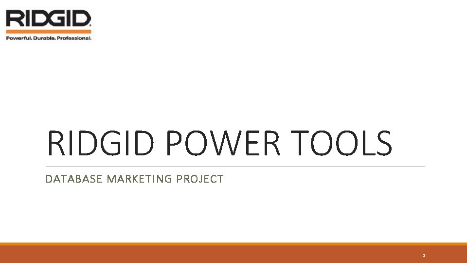 RIDGID POWER TOOLS DATABASE MARKETING PROJECT 1 