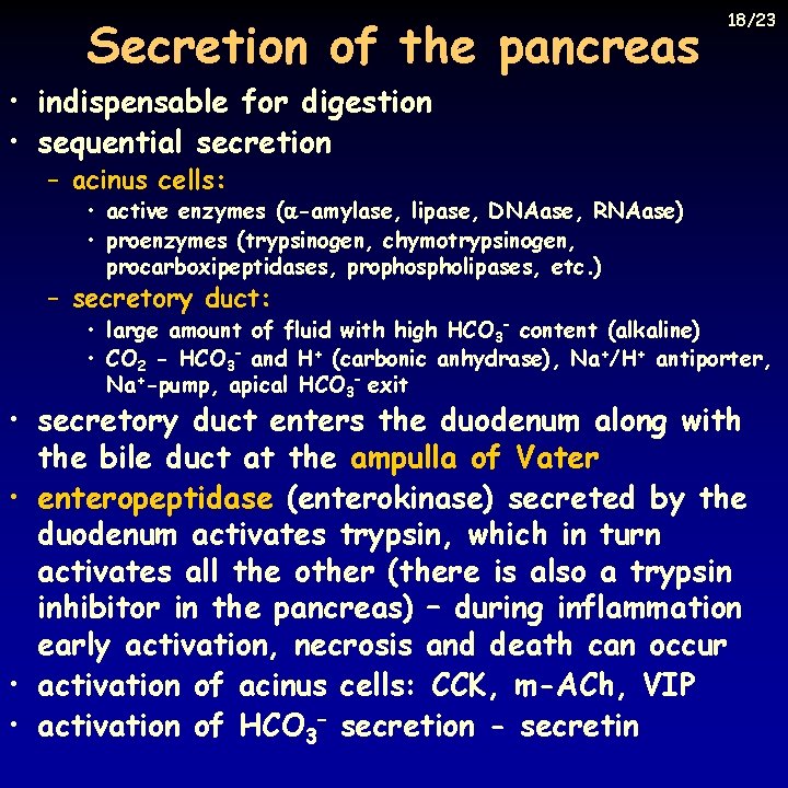 Secretion of the pancreas 18/23 • indispensable for digestion • sequential secretion – acinus