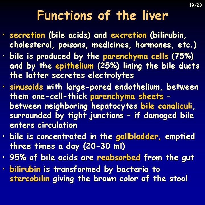 Functions of the liver 19/23 • secretion (bile acids) and excretion (bilirubin, cholesterol, poisons,