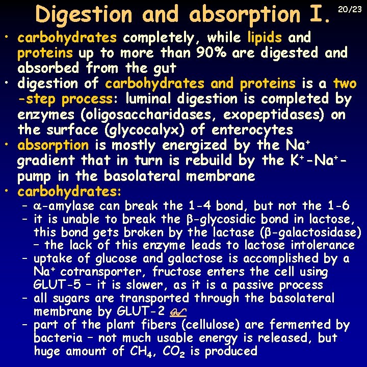 Digestion and absorption I. 20/23 • carbohydrates completely, while lipids and proteins up to