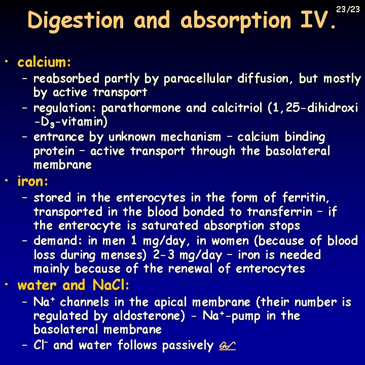 Digestion and absorption IV. 23/23 • calcium: – reabsorbed partly by paracellular diffusion, but