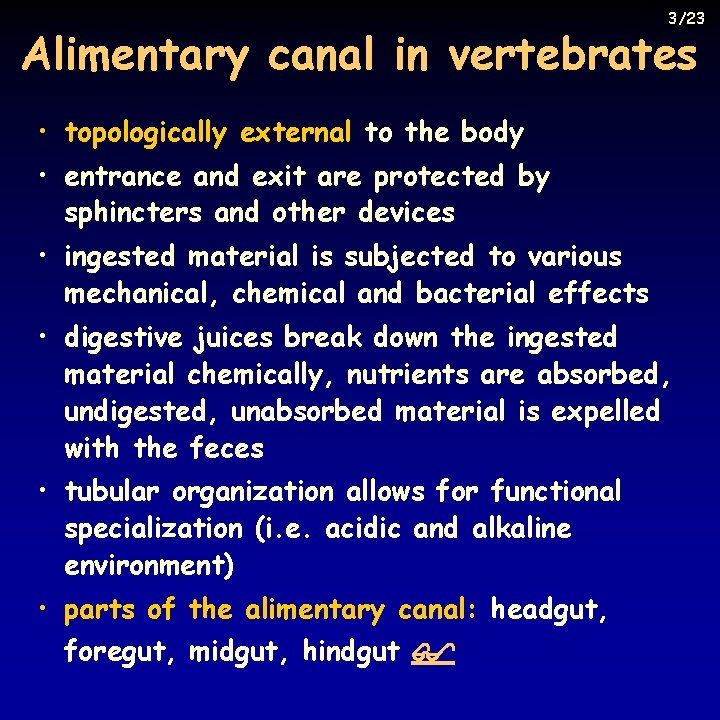 3/23 Alimentary canal in vertebrates • topologically external to the body • entrance and