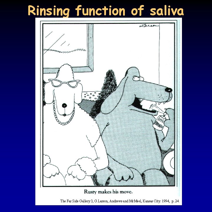 Rinsing function of saliva The Far Side Gallery 3, G. Larson, Andrews and Mc.