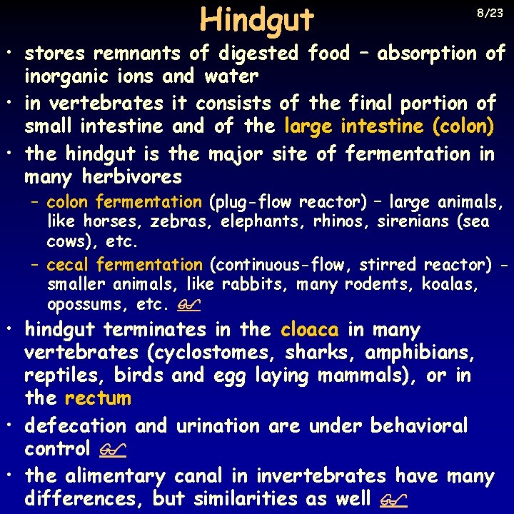 Hindgut 8/23 • stores remnants of digested food – absorption of inorganic ions and