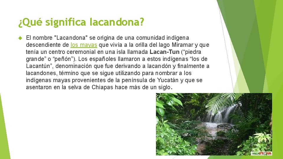 ¿Qué significa lacandona? El nombre "Lacandona" se origina de una comunidad indígena descendiente de