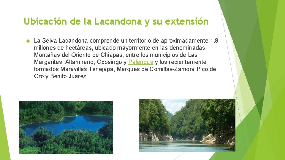 Ubicación de la Lacandona y su extensión La Selva Lacandona comprende un territorio de
