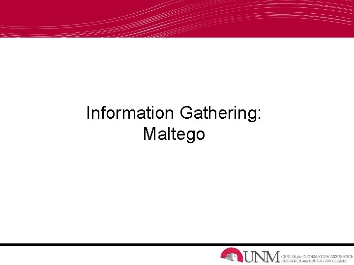 Information Gathering: Maltego 