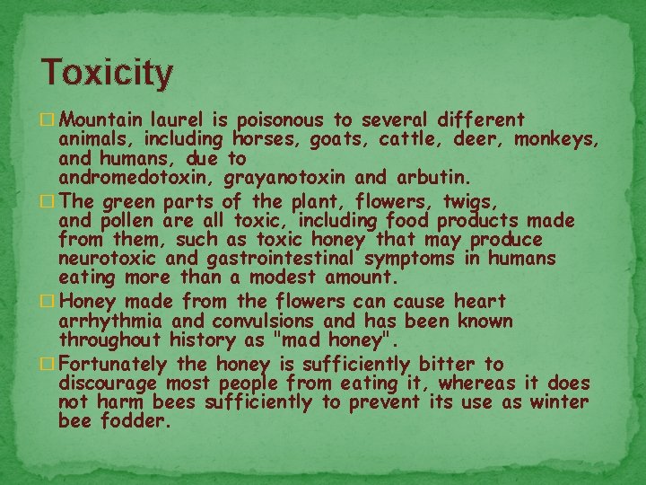 Toxicity � Mountain laurel is poisonous to several different animals, including horses, goats, cattle,