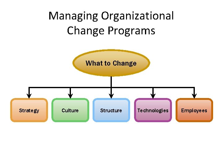 Managing Organizational Change Programs What to Change Strategy Culture Structure Technologies Employees 