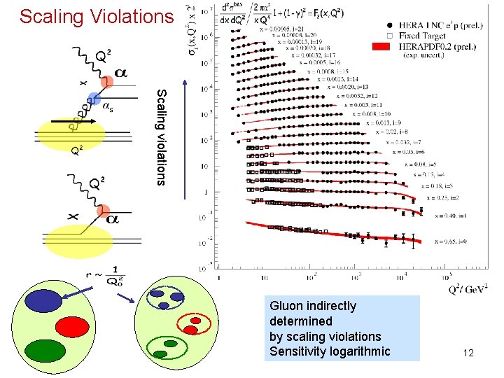Scaling Violations Scaling violations Gluon indirectly determined by scaling violations Sensitivity logarithmic 12 Scaling Violations Scaling violations Gluon indirectly determined by scaling violations Sensitivity logarithmic 12