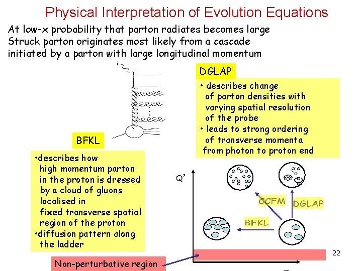 Physical Interpretation of Evolution Equations At low-x probability that parton radiates becomes large Struck Physical Interpretation of Evolution Equations At low-x probability that parton radiates becomes large Struck