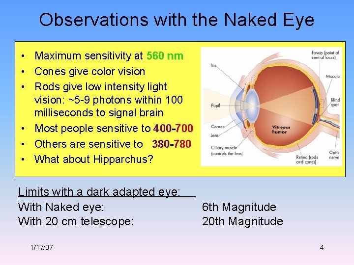 Observations with the Naked Eye • Maximum sensitivity at 560 nm • Cones give