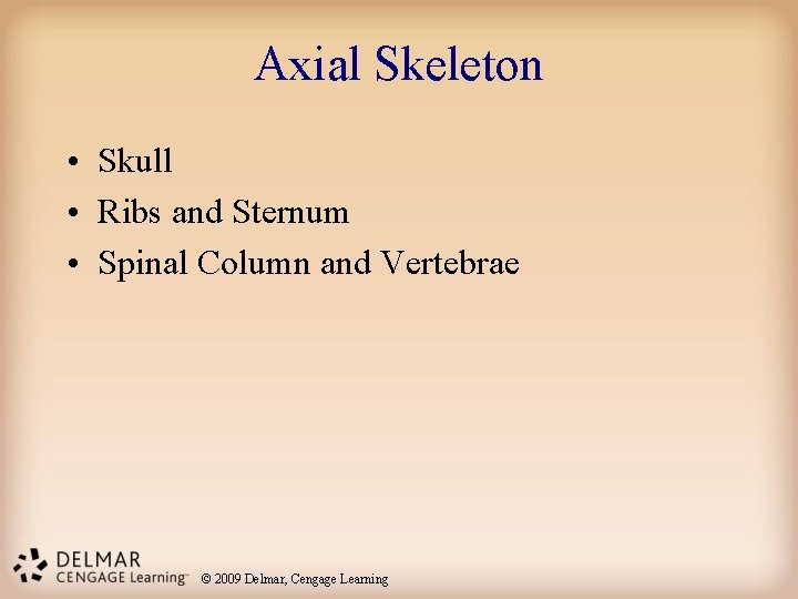 Axial Skeleton • Skull • Ribs and Sternum • Spinal Column and Vertebrae ©