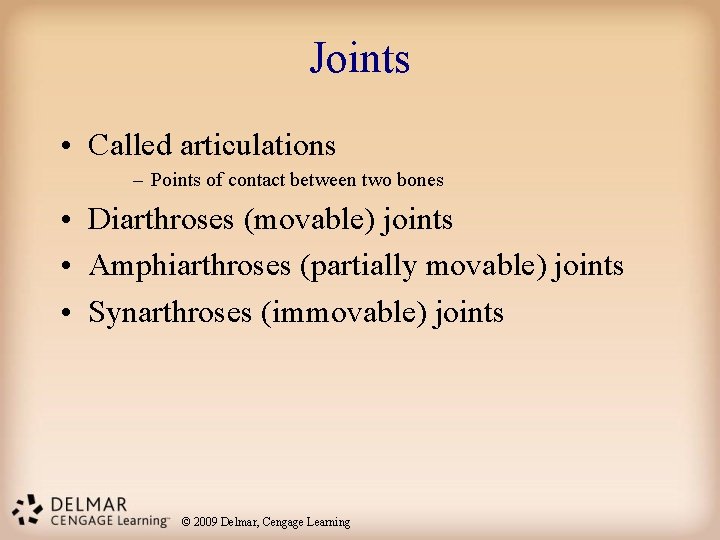 Joints • Called articulations – Points of contact between two bones • Diarthroses (movable)