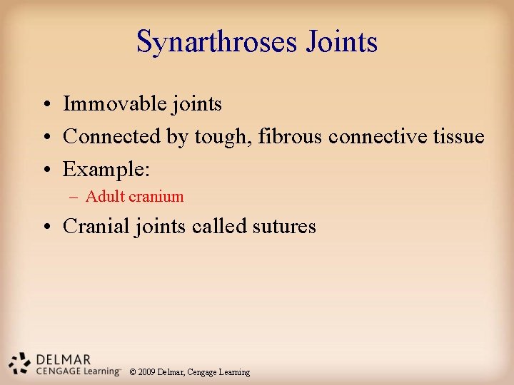 Synarthroses Joints • Immovable joints • Connected by tough, fibrous connective tissue • Example: