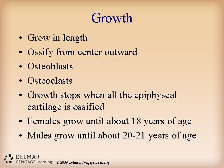 Growth • • • Grow in length Ossify from center outward Osteoblasts Osteoclasts Growth