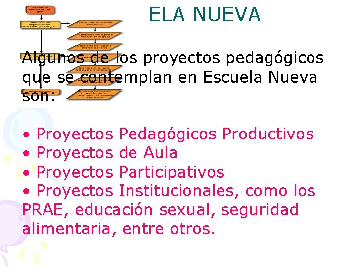 ESCUELA NUEVA Algunos de los proyectos pedagógicos que se contemplan en Escuela Nueva son: