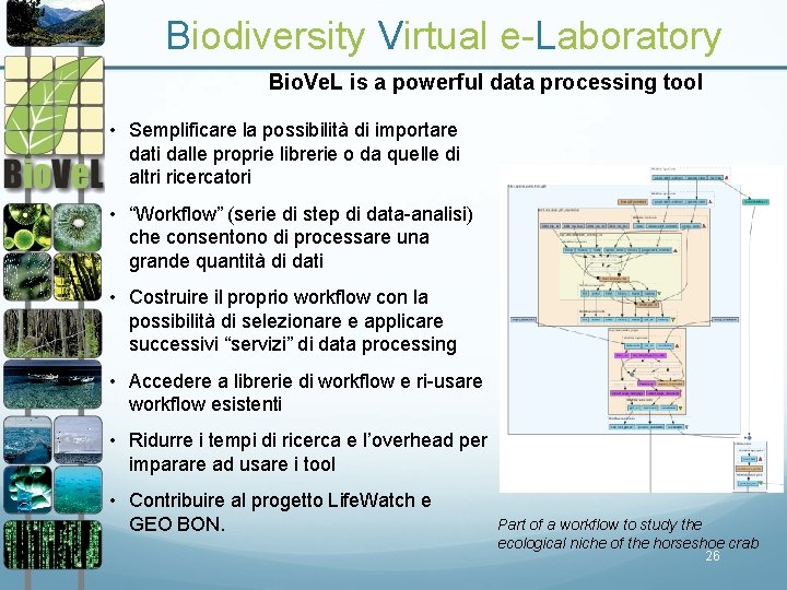 Biodiversity Virtual e-Laboratory Bio. Ve. L is a powerful data processing tool • Semplificare