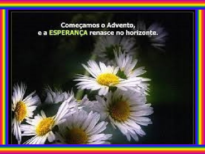 I Leitura – Is 11, 1 -10 Salmo 71 (72) II-Leitura Rom 15, 4 I Leitura – Is 11, 1 -10 Salmo 71 (72) II-Leitura Rom 15, 4