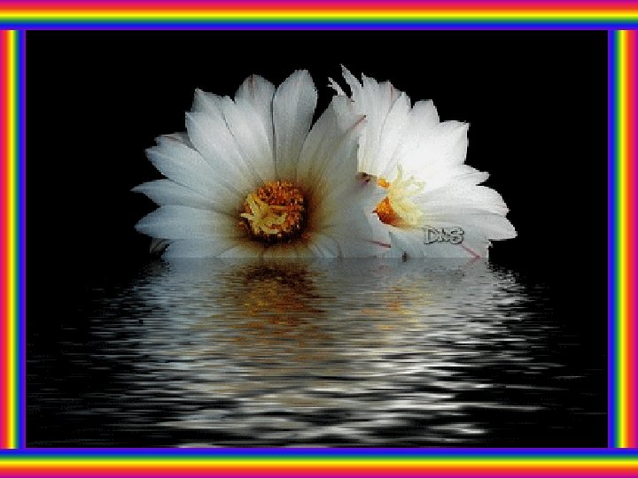 Tema do 2. º Domingo do Advento A liturgia deste domingo convida-nos a despir Tema do 2. º Domingo do Advento A liturgia deste domingo convida-nos a despir