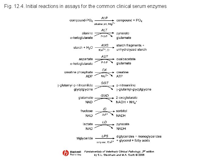 Fig. 12. 4. Initial reactions in assays for the common clinical serum enzymes Fundamentals