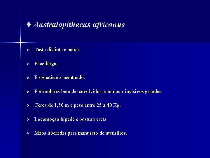 ♦ Australopithecus africanus Ø Testa distinta e baixa. Ø Face larga. Ø Prognatismo acentuado.