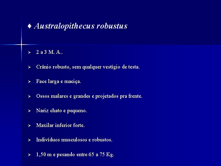 ♦ Australopithecus robustus Ø 2 a 3 M. A. . Ø Crânio robusto, sem