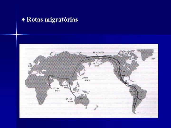 ♦ Rotas migratórias 