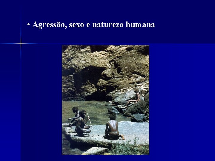  • Agressão, sexo e natureza humana 