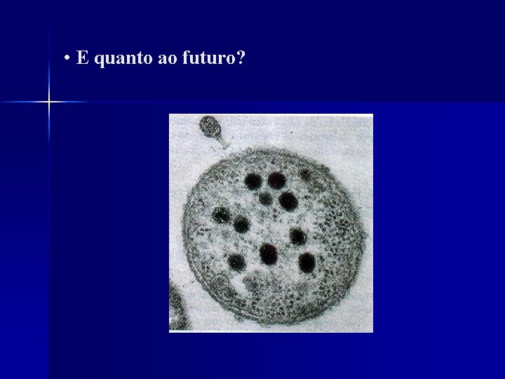  • E quanto ao futuro? 