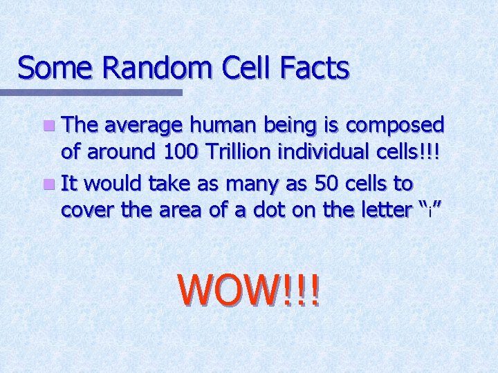 Some Random Cell Facts n The average human being is composed of around 100