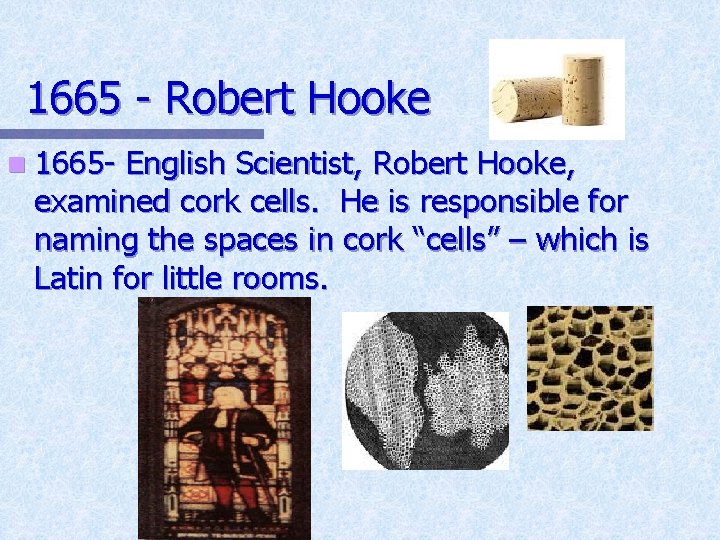 1665 - Robert Hooke n 1665 - English Scientist, Robert Hooke, examined cork cells.