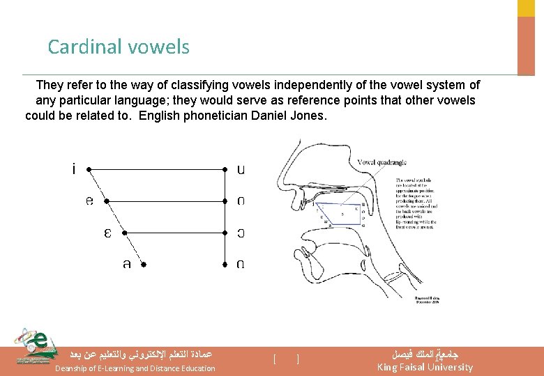 Cardinal vowels They refer to the way of classifying vowels independently of the vowel Cardinal vowels They refer to the way of classifying vowels independently of the vowel