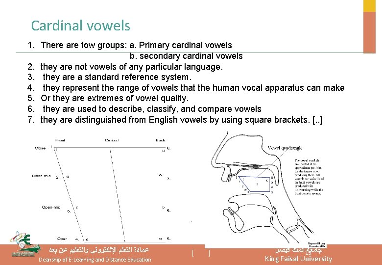 Cardinal vowels 1. There are tow groups: a. Primary cardinal vowels b. secondary cardinal Cardinal vowels 1. There are tow groups: a. Primary cardinal vowels b. secondary cardinal