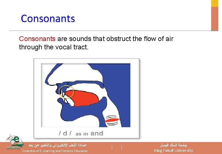 Consonants are sounds that obstruct the flow of air through the vocal tract. ﻋﻤﺎﺩﺓ Consonants are sounds that obstruct the flow of air through the vocal tract. ﻋﻤﺎﺩﺓ