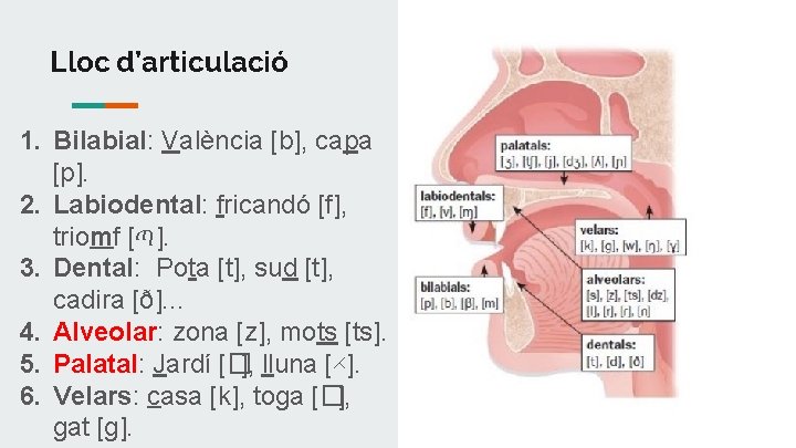 Lloc d’articulació 1. Bilabial: València [b], capa [p]. 2. Labiodental: fricandó [f], triomf [ጣ].