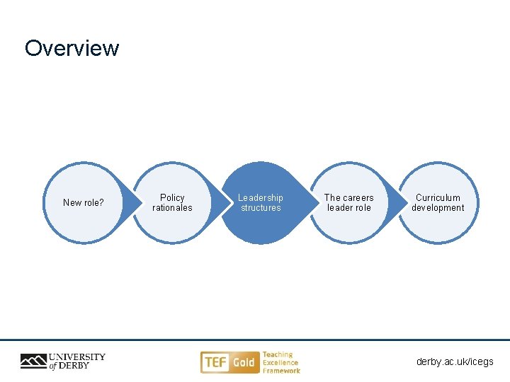 Overview New role? Policy rationales Leadership structures The careers leader role Curriculum development derby.