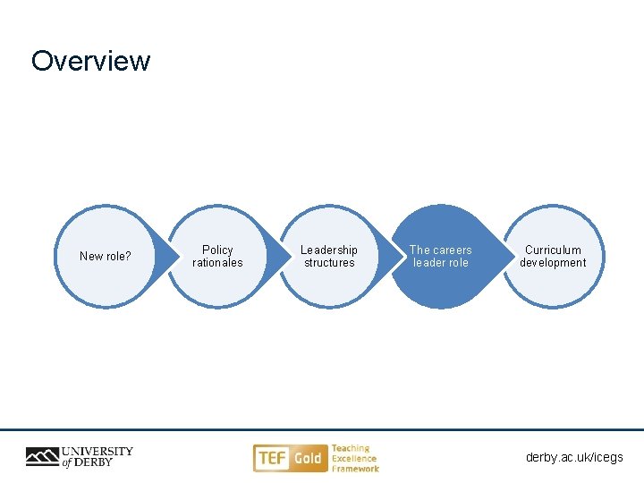 Overview New role? Policy rationales Leadership structures The careers leader role Curriculum development derby.